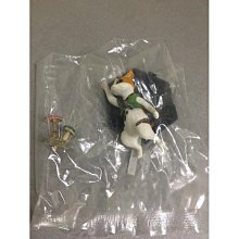 全新日影《從水深0米開始》DVD 站在泳池底 我們的青春才正要開始！濱尾咲綺、仲吉玲亞、清田美久莉、花岡堇 歷史價格詳細信息