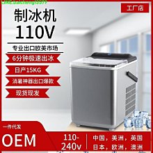 出口美國日本110V家用掛燙機220V小型電熨斗便攜熨燙機迷你小熨斗~特價 歷史價格詳細信息