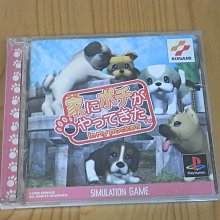 【小蕙館】PS~ Pocket Tuner 口袋音樂遊戲 (純日版) 歷史價格詳細信息