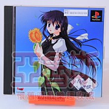 【PS商城】【夏季5分褲 】2017流行春夏舒適繽紛棉短褲 五分褲韓版褲休閒褲海灘褲 【IB001】 歷史價格詳細信息