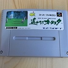 【小新高爾夫】日本進口高爾夫球肘護肘DR.Elbow羽毛球網球肘護手臂運動護具 歷史價格詳細信息