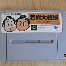 大樸樹 園林綠化樸樹造型 樸樹小苗規格齊全 自己苗圃 歷史價格詳細信息