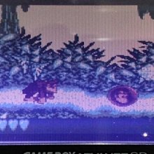 超級金剛刷加強版一包12入 日本原單強力去污海綿清潔刷 廚房去污萬用清潔刷 歷史價格詳細信息