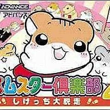 幸運小兔 GBA 太空戰士 4 Final Fantasy 最終幻想 NDS、NDSL、GBM 主機適用 歷史價格詳細信息