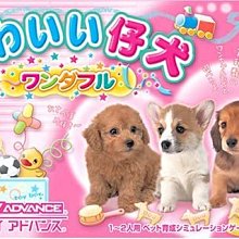 幸運小兔 GBA 仔犬 可愛幼犬 可愛小狗 GameBoy GBA-SP 任天堂 NDS 適用 J9 歷史價格詳細信息