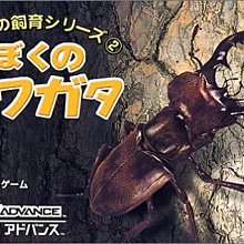 幸運小兔 GBA 牧場物語 女孩版 礦石鎮的夥伴們 礦物鎮 任天堂 NDS、GameBoy 日版 歷史價格詳細信息