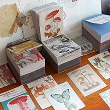 花藝素材百科：700種切花、乾燥花、永生花、索拉花材完全圖鑑 歷史價格詳細信息