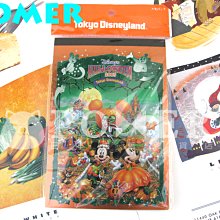 日本迪士尼樂園奇奇蒂蒂絨毛造型鏡子 歷史價格詳細信息