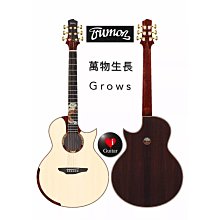 【iGuitar】德國BatonRougeCR61S/ACE-R加拿大紅松奇異桃花心木跨界古典吉他iGuitar強力推薦 歷史價格詳細信息