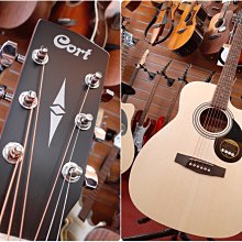 CORT AF510M 桃花心木面板 木吉他 歷史價格詳細信息