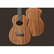 aNueNue K3E Rainbow入門系列 26吋 烏克麗麗 電聲款 歷史價格詳細信息