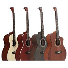 缺【民揚樂器】免運 木吉他弦鈕 民謠吉他旋鈕 Alice AP-016V3JP 鍍金高檔油壓 黑檀木色 歷史價格詳細信息