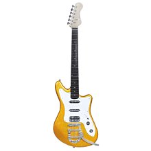 雅韻黑檀二胡樂器廠家直銷初學者成人專業演奏二胡老人樂器級琴弦 歷史價格詳細信息