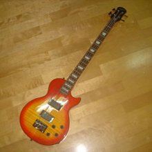 Gibson/ Epiphone Les Paul 型電吉他下弦枕/拉弦板組(可自行更換) [唐尼樂器] 歷史價格詳細信息