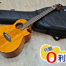 aNueNue MBS32E 36吋 亮啞光 面單板夏威夷相思木＋台灣相思木 木貝斯 歷史價格詳細信息