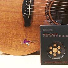 【現代樂器】美國Planet Waves 頂級弦鈕鎖定 民謠吉他移調夾 NS CAPO 黑色(PW-CP-02) 歷史價格詳細信息