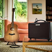 **大昌樂器** BOSS FV-500L Volume Pedal音量踏板 公司貨 歷史價格詳細信息