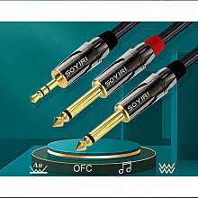 soyiri 適用安卓type-c轉雙6.5音頻線 安卓扁口轉雙6.35mm轉接線手機接音響箱混音器功放音頻轉接線 歷史價格詳細信息