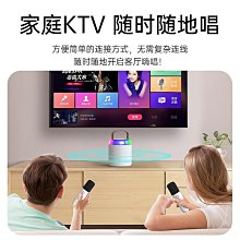 音箱家用無線唱歌k歌話筒音響一體麥克風小型家庭ktv套裝青瑩 歷史價格詳細信息
