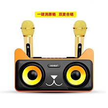 雙麥克風音箱帶無線話筒家用迷你k歌插卡音響禮品rgb彩燈音箱 歷史價格詳細信息