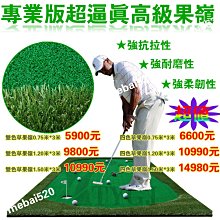TTYGJ 室內高爾夫推桿練習毯 人工球道果嶺  高爾夫練習器優 歷史價格詳細信息