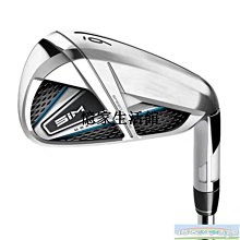 〖憶家生活館〗高爾夫球桿泰勒梅Taylormade 新款P790 黑武士版鐵桿組 SIM 歷史價格詳細信息