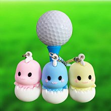 高爾夫球釘座4款 高爾夫球場用品 禮品套組 附PU皮包 GSD120 歷史價格詳細信息