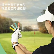 高爾夫多功能果嶺工具 高爾夫球場用品 禮品套組 附PU皮包 GSD110 歷史價格詳細信息