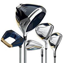 Taylormade原廠R9鐵桿組5~S八支組（L/女/男手小也適用）專賣店展示桿組九成七新如圖（庫存清倉價超值特優惠） 歷史價格詳細信息
