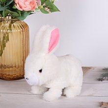 249元免運費~9H鋼化玻璃保護貼膜 12 pro 11 XS XR iPhone7 i8 plus  i6s IX 歷史價格詳細信息