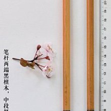 韓非子小舖~ 兼毫毛筆_養壺筆/斗筆 特價98元 養壺/寫字適用 歷史價格詳細信息