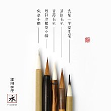 （超低價）毛寶  洗碗精 補充包 系列 （2種）800g  毛寶洗碗精補充包 歷史價格詳細信息