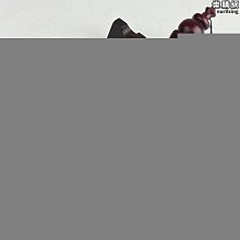 特大號鬥筆抓筆超大毛筆狼羊兼毫熊毫抓筆特大毛筆大抓筆鬥筆榜書 歷史價格詳細信息
