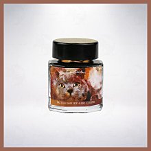 皮爾卡登 pierre cardin【30入】兒童型 輕便雨衣 歷史價格詳細信息