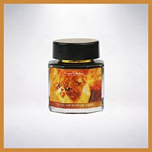 皮爾卡登 pierre cardin【30入】兒童型 輕便雨衣 歷史價格詳細信息