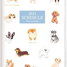 日本映畫-2021 劇場版 信號長期未解決事件搜查班 坂口健太郎.北村一輝.吉瀨美智子.奈緒-日本電影場刊 歷史價格詳細信息