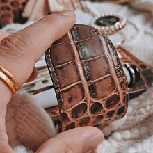 【鱷魚】活動期間，加量不加價 水蒸式蹣蟑蚊蟻蚤藥45g 超大坪效 (13-18坪) 歷史價格詳細信息