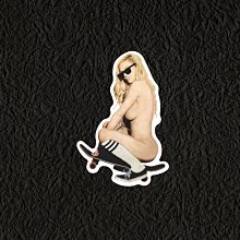 PVC防水貼紙  爆炸貼 可貼於行李箱 旅行箱 機車 汽車 電腦 27 歷史價格詳細信息