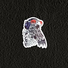 PVC防水貼紙  爆炸貼 滑板 吉他 貝斯 行李箱 旅行箱 電腦 滑雪板 冰箱 安全帽 447 歷史價格詳細信息