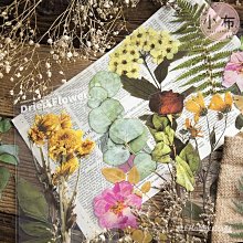 裝飾手帳貼紙 幾何 / 鯨魚 裝飾貼 和紙貼紙 【久大文具】0165 歷史價格詳細信息