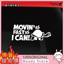 MOVIN 透氣短褲290元出清(正品)S/M 歷史價格詳細信息