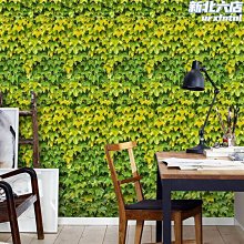 背景貼紙 新款魚缸貼紙3d平面黑底系列定制高清圖背景畫水族箱壁紙正膠自粘 歷史價格詳細信息