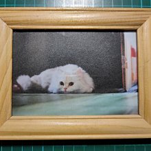 ❋詠樂本舖❋ 現貨 日版 魂商店限定 數碼寶貝 怪獸對打機 彩色版 透明白/透明黑 2色 歷史價格詳細信息