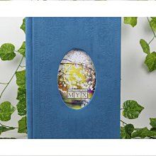 好物6H秒發 直髮梳 負離子 直髮梳 離子夾 懶人直髮梳 直捲兩用 智能控溫 多檔調節 防燙 造型梳 髮電卷一體 拉 歷史價格詳細信息