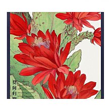 【相冊】【相框】【文藝】熱賣韓國ins拍立得相冊亞剋力擺 3寸4寸5寸6寸照片收納冊桌麵擺件 2GVC 歷史價格詳細信息