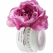 全新正品～ED Hardy 水鑽黑色短T ~size : XL 歷史價格詳細信息