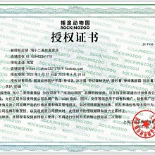 【搖滾】顏峻《灰飛煙滅》樂評集  •含已被風沙的傳奇樂隊歌詞集與樂評（蛇投、畔鼓等） •品相四成新 歷史價格詳細信息