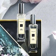 風與海入戶門地墊可擦洗門墊進門門口腳墊家用地毯墊可裁剪 歷史價格詳細信息