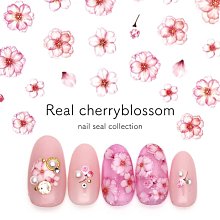 美甲樂園福利社~ 貼紙簿 HanYi 159 初夏雛菊 太陽花 向日葵 薄款背膠貼紙 歷史價格詳細信息