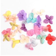 初夏花園 黑色/白色辣妹手工花朵一字肩抹胸上衣女背心吊帶 歷史價格詳細信息